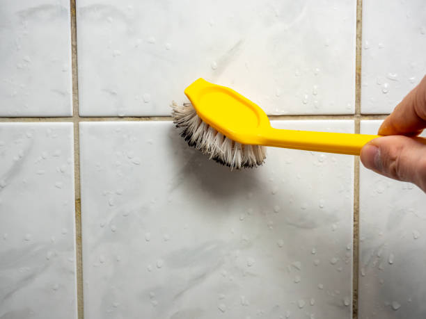 Best Certified Mold Removal  in Cattaraugus, NY