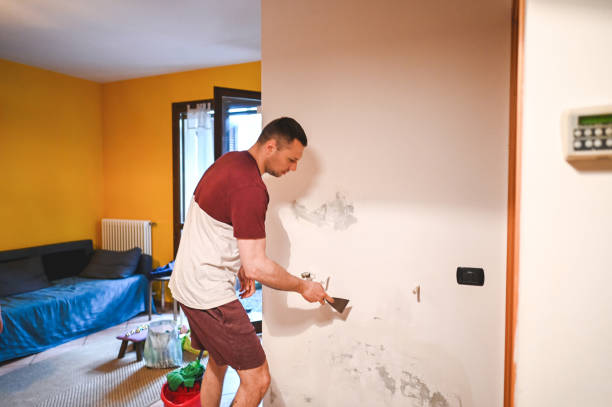 Best Black Mold Removal  in Cattaraugus, NY